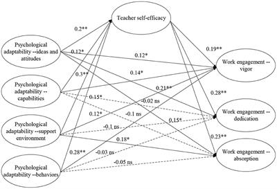 Relationship between psychological adaptability and work engagement of college teachers within smart teaching environments: the mediating role of digital information literacy self-efficacy